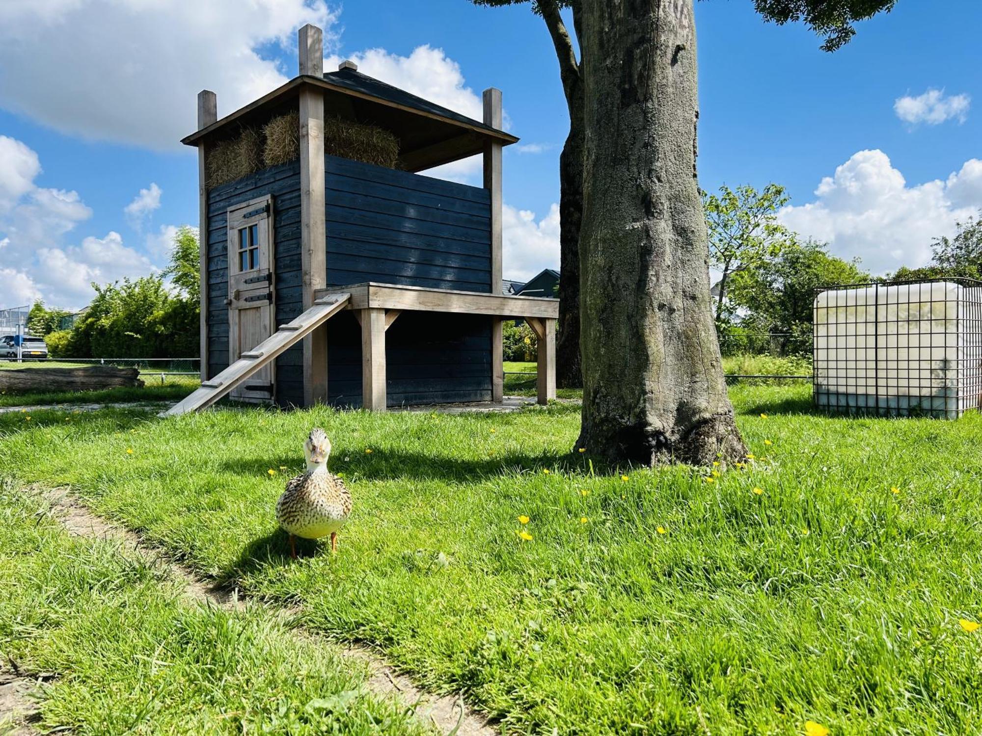 Bungalowpark De Horn - Floresta 215 Dirkshorn Eksteriør billede